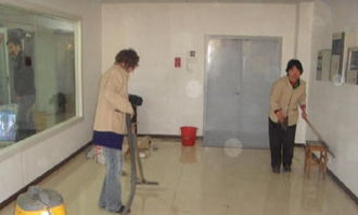 新居煥新顏 全方位保潔服務指南