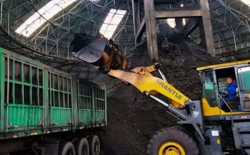 全力以赴 保障煤炭和電力供應 筑牢能源安全的“壓艙石”