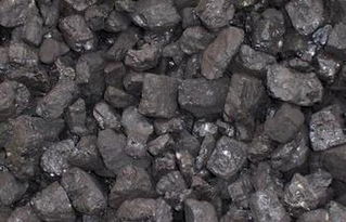 我國煤炭市場呈現緩慢復蘇態勢，多重市場因素主導格局演變